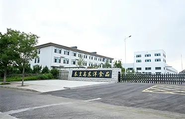Mit einer Investition von 250 Millionen RMB und einer 40.000 Quadratmeter großen Fabrik hat Dongyang Foods eine solide Grundlage für die Produktion hochwertiger Instantnudeln geschaffen.