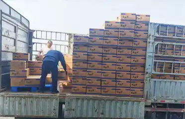 Wie viele Kontrollpunkte muss ein Mala Tang-Nudelpfannkuchen (scharfer Eintopf) durchlaufen, bevor er in Shenyang auf einen LKW verladen wird?
