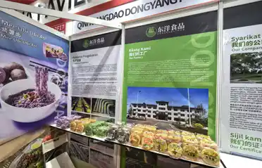Suchen Sie nach nicht frittierten Nudeln in Malaysia? Qinhuangdao Dongyang Food Showcases auf der Internationalen Halal-Ausstellung